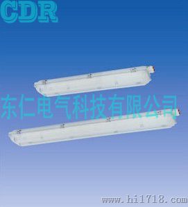 GFD6010 防水防尘灯