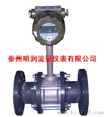 智能蒸汽流量计