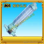 隔爆型节能荧光灯