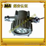DGS18隔爆型led巷道灯