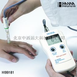 便携式pH温度测定仪