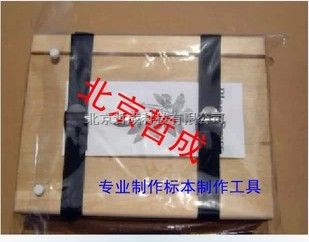 植物标本夹