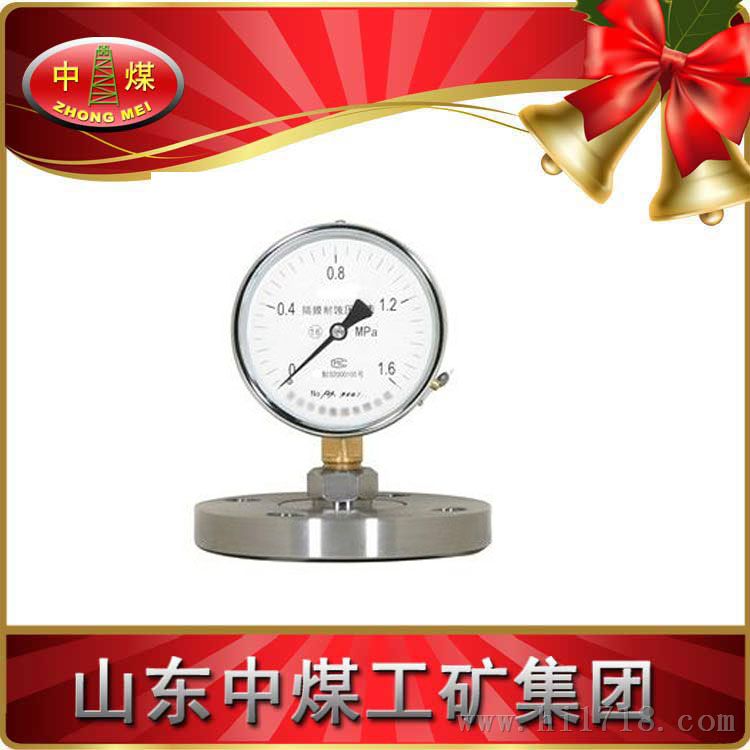 YMN系列隔膜式耐振压力表