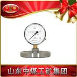 YMN系列隔膜式耐振压力表