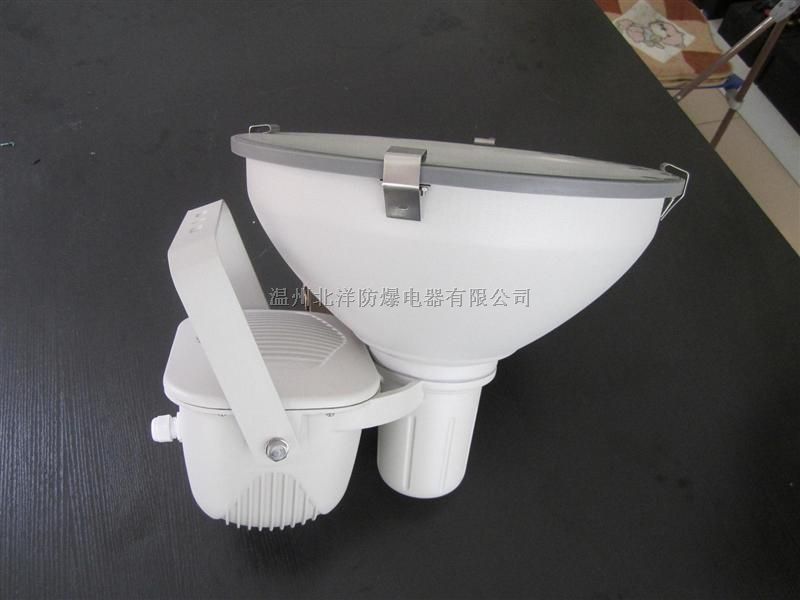 CZT6900 三防投光灯