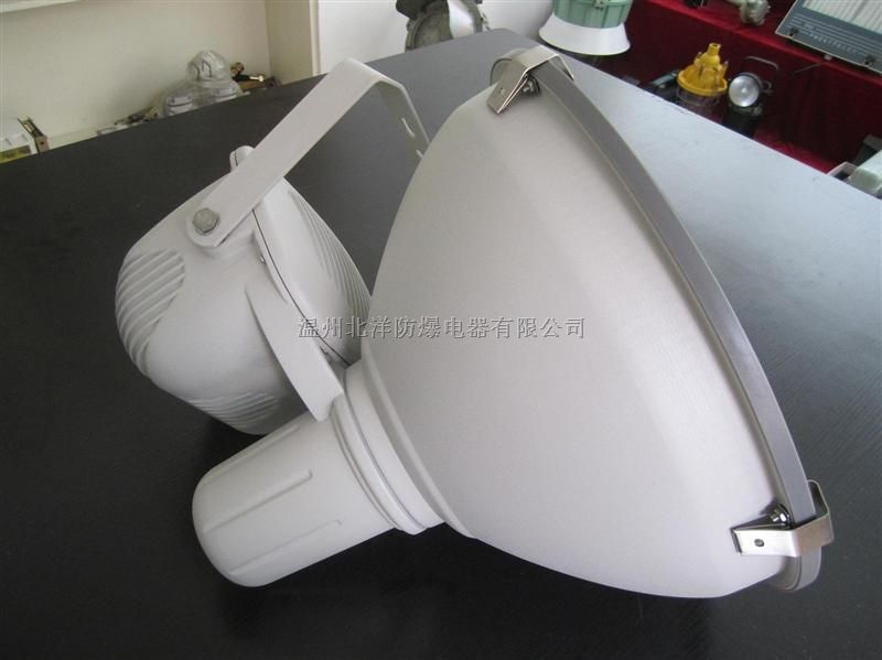 CZT6900 三防投光灯