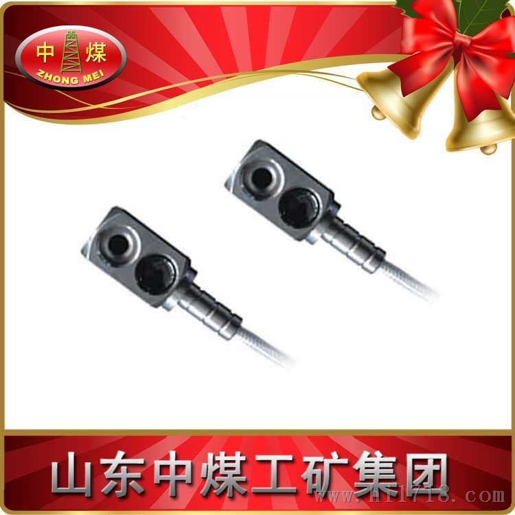GWP100铂电阻传感器
