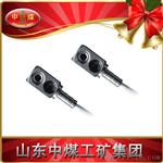 GWP100铂电阻传感器