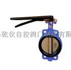 D71X对夹软密封蝶阀