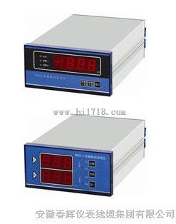 RDXZ-2轴振动监视仪
