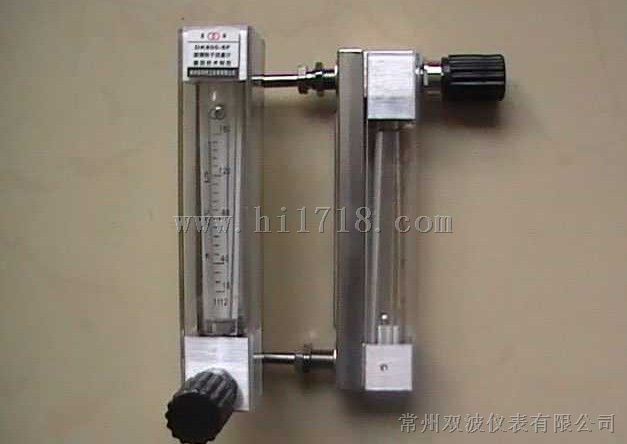 DK800-6玻璃转子流量计