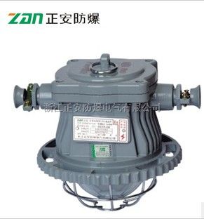 DGS36/127L（B）矿用隔爆型LED巷道灯