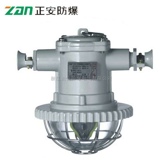 DGS12/36L(A)矿用隔爆型LED巷道灯