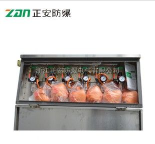 ZYJ(B) 矿井压风自救装置
