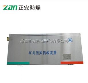 ZYJ(B) 矿井压风自救装置