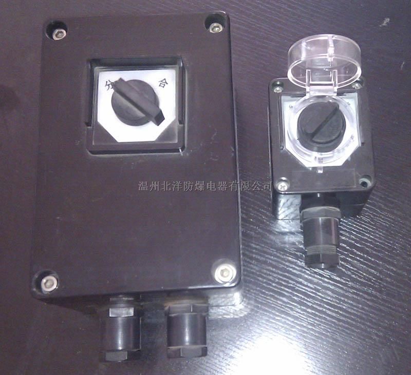 广东防护罩防爆开关