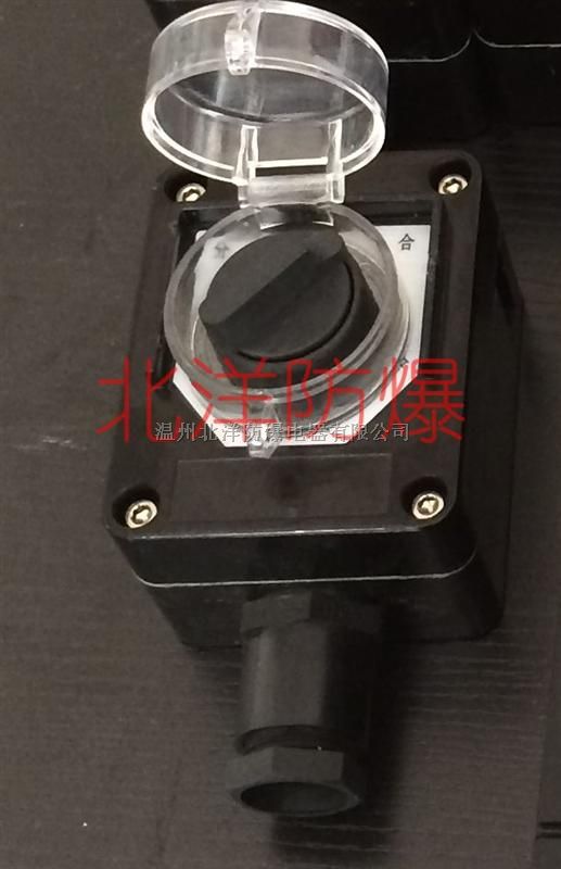 广东防护罩防爆开关