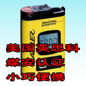 T40一氧化碳气体检测仪