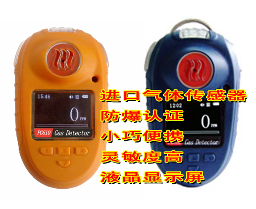 便携式煤气检测仪PGM-1700