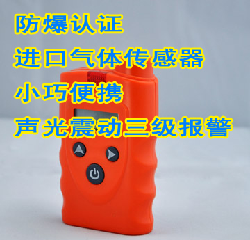 便携式煤气检测仪RBBJ-T