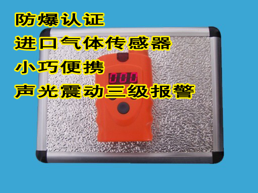 便携式煤气检测仪RBBJ-T