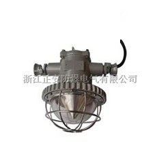 DGS18矿用隔爆型LED巷道灯