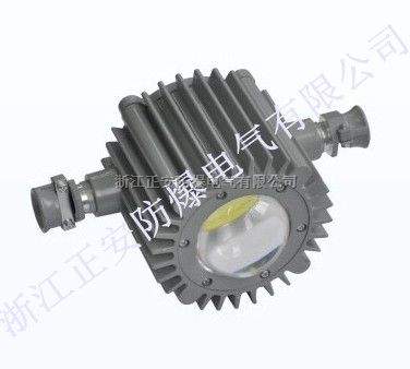 DGS24隔爆型灯具
