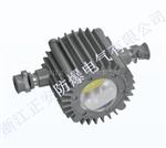 DGS24隔爆型灯具