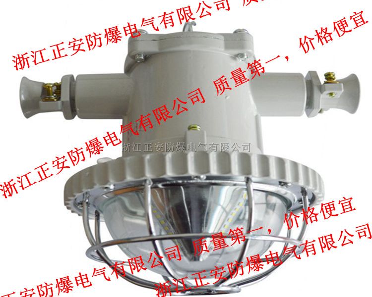 DGS24隔爆型灯具