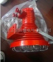 DGS175矿用隔爆型投光灯