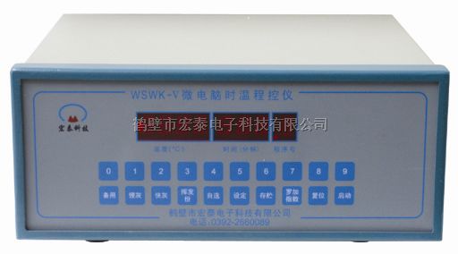 时温程控仪WSWK-V