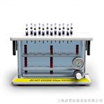 固相萃取仪SE-12
