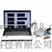 多通道噪声分析记录仪S956