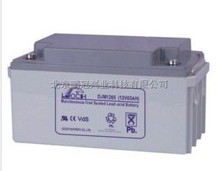 理士蓄电池DJM1265 (12V65AH)