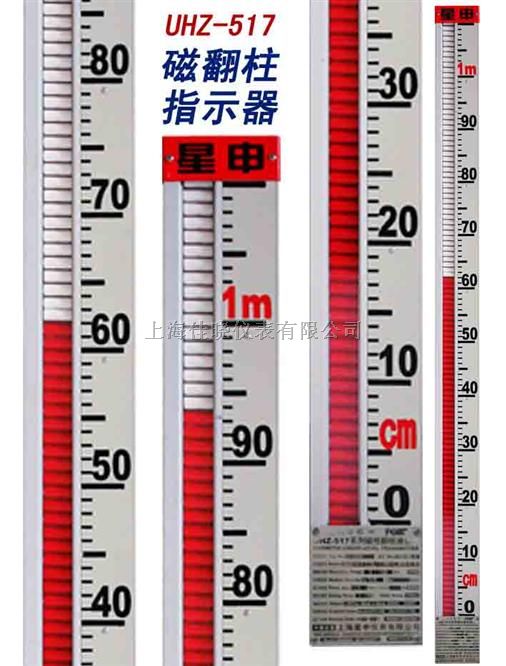 磁性液位计UHZ-517C10