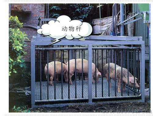 600kg电子动物称