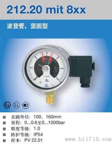 电接点压力表德国wika
