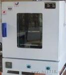 202-1电热恒温干燥箱