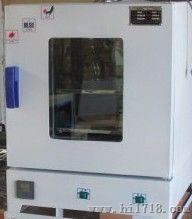 202-2电热恒温干燥箱