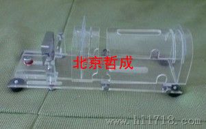 大小鼠固定器