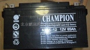 志成蓄电池NP65-12