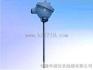 RT13W2-PT100热电阻