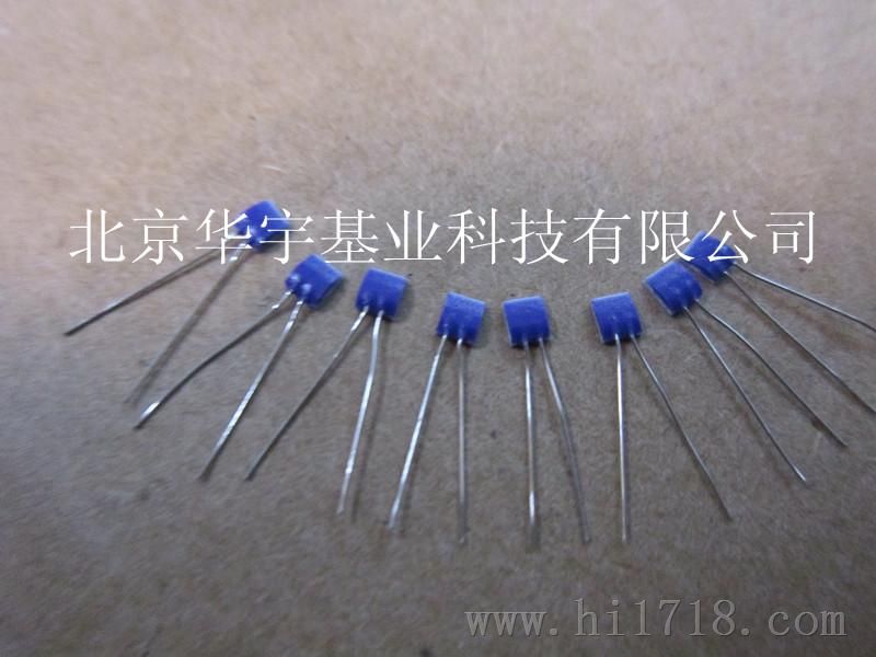 德国PT100传感器