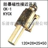KYCX-1防爆磁性开关