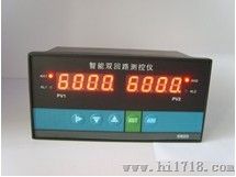 双回路数字显示控制仪