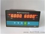 双回路数字显示控制仪