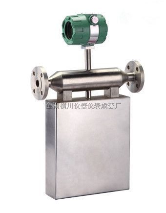 热式质量流量计