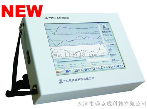ZBL-P810A基桩动测仪