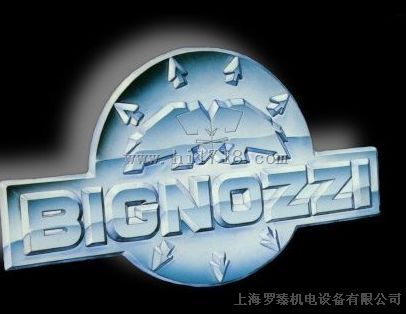 bignozzi柱塞泵BM 25