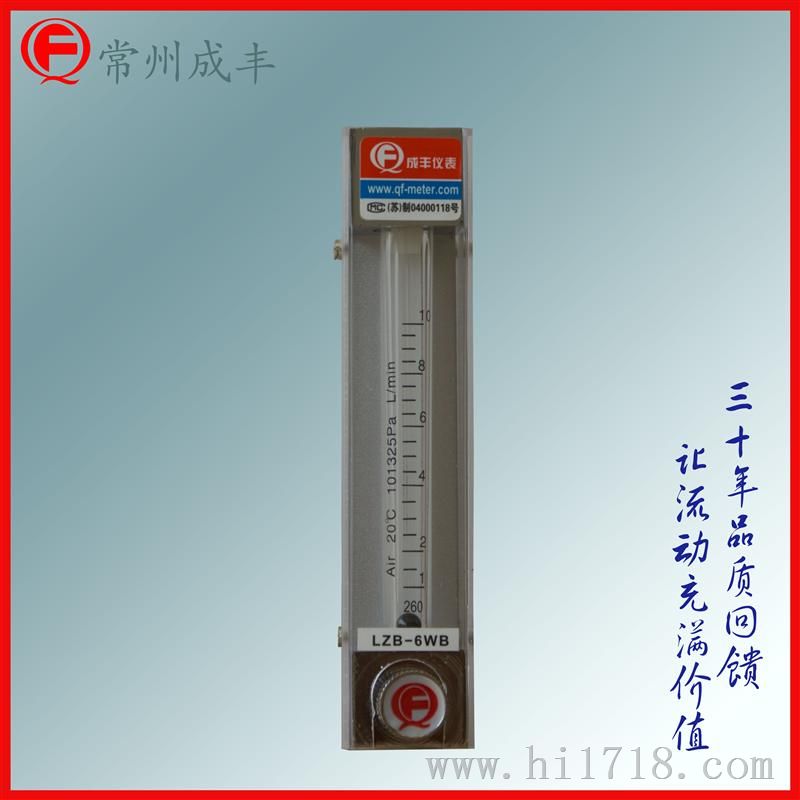 玻璃转子流量计LZB-6WB
